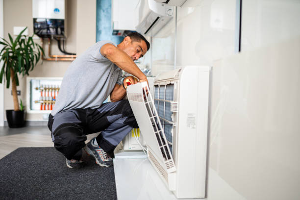 Best Air Duct Cleaning Near Me  in Pheasant Run, OH