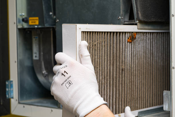 Best Affordable Duct Cleaning Services  in Pheasant Run, OH