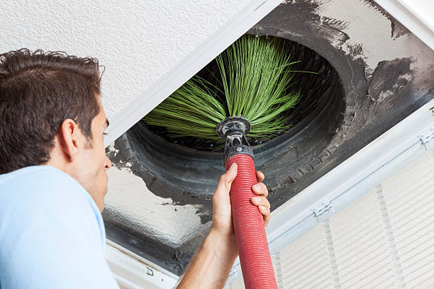 Best Professional Duct Cleaning Services  in Pheasant Run, OH